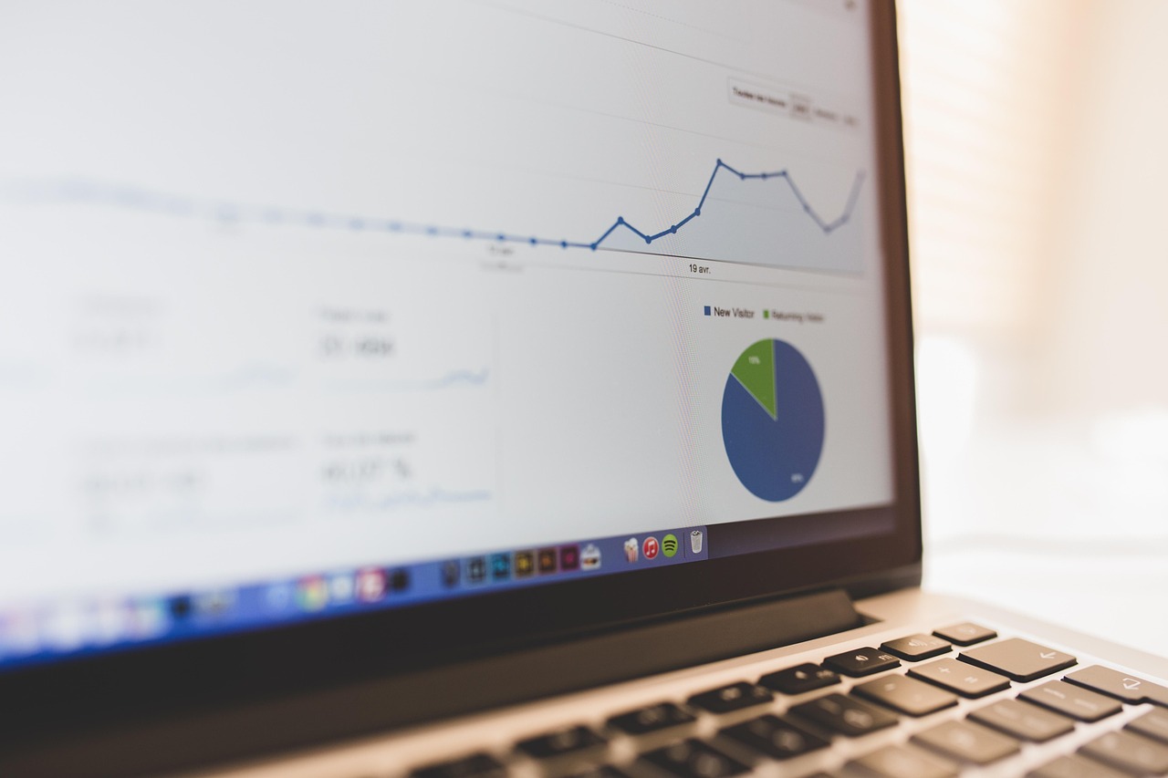website analytics dashboard screen (computer, summary, chart, business, seo, presentation, busin)